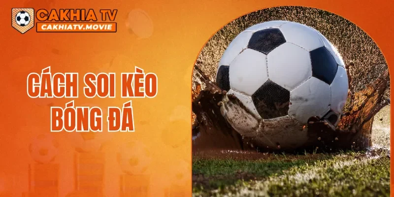 Cách Soi Kèo Bóng Đá