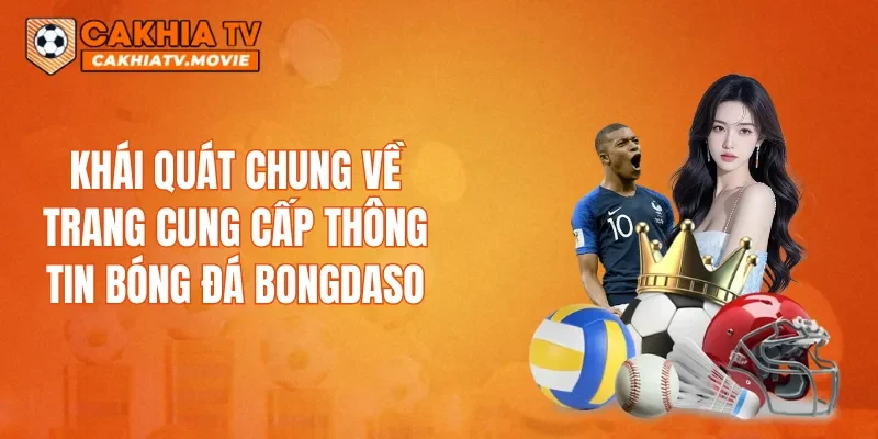 Khái quát chung về trang cung cấp thông tin bóng đá Bongdaso